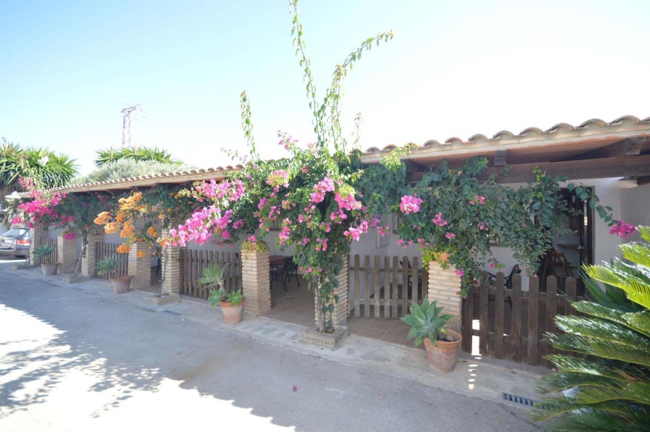 Estudios Con Piscina Compartida En Conil. Cádiz Exteriör bild
