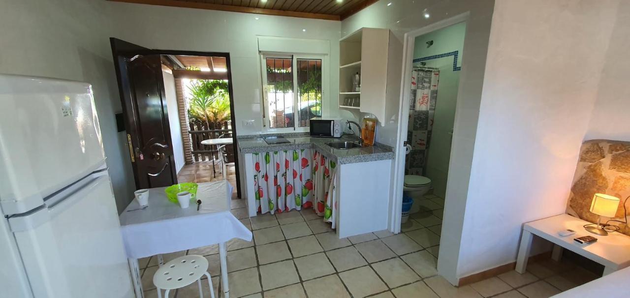 Estudios Con Piscina Compartida En Conil. Cádiz Exteriör bild