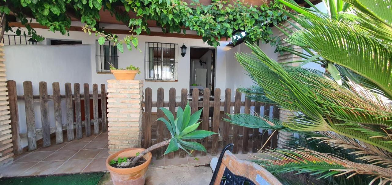 Estudios Con Piscina Compartida En Conil. Cádiz Exteriör bild